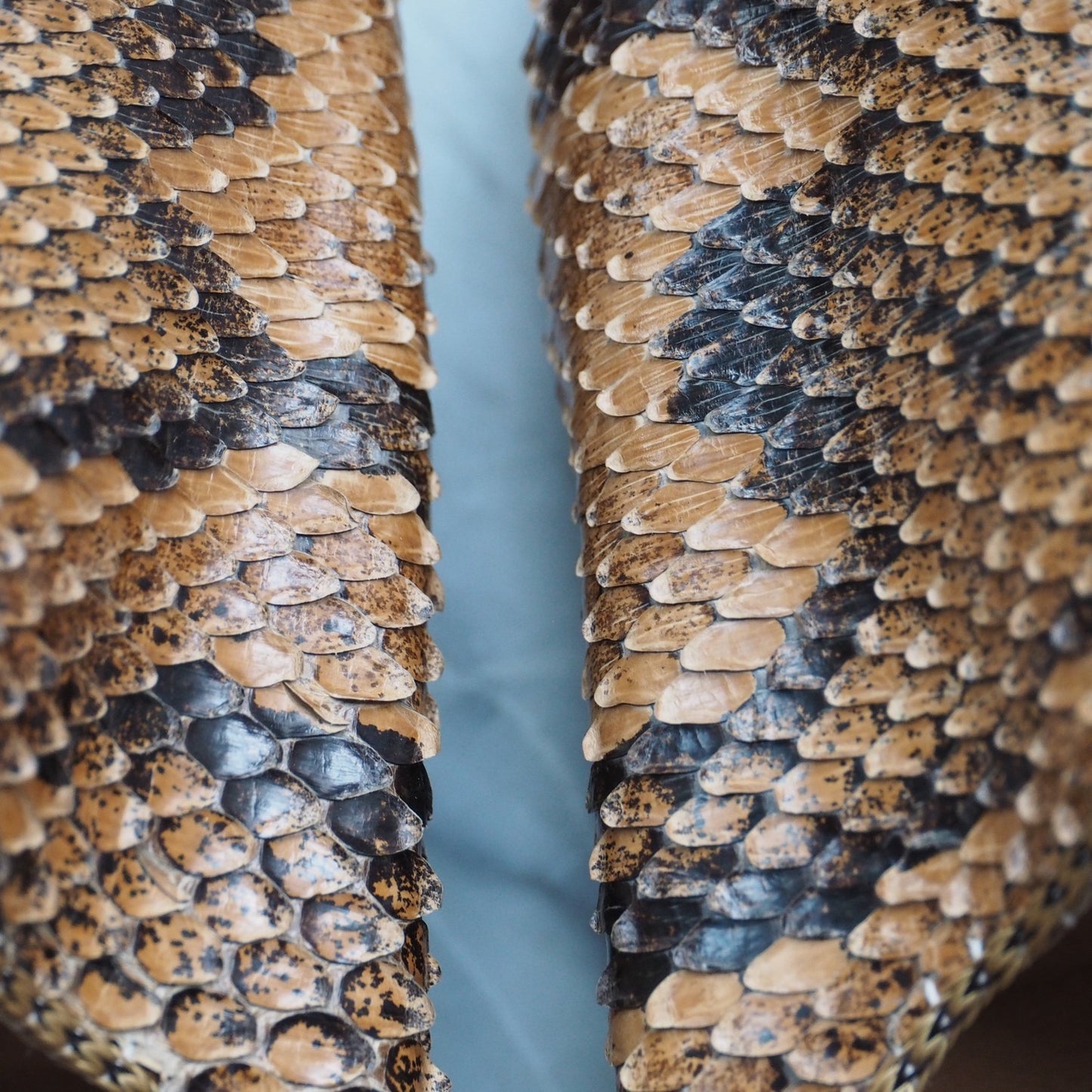 Sandaal snake