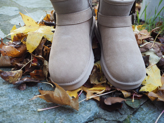 Warmbat WALLABY women buckle stone